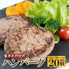 【ふるさと納税】 厳選 素材使用の ハンバーグ 20個 / 肉 小分け おかず 人気 黒豚 牛 豚 淡路 玉ねぎ