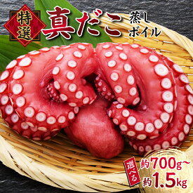 【ふるさと納税】 たこ 真蛸 蒸しボイル 約700g〜約1.5kg 1尾〜3尾 冷蔵 蛸 タコ 刺身 刺し身 たこ焼き たこやき たこ飯 たこ刺し カルパッチョ 酢の物 まだこ サラダ パスタ 唐揚げ 人気 おすすめ おつまみ 海鮮 魚介【配送不可地域：北海道・沖縄・離島】