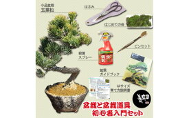 【ふるさと納税】養庄園 盆栽と盆栽道具 初心者入門セット