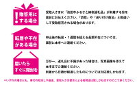 【ふるさと納税】「インスタントラーメン発祥の地・大阪池田」おなじみ定番セット