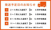 【ふるさと納税】「インスタントラーメン発祥の地・大阪池田」おなじみ定番セット