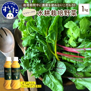 yӂ邳Ɣ[ŁzyeʂIׂzRR[N  k͔|  500g 1kg 䂸 ɂ񂶂 hbVO t _sgp Ɛ􂤂 Hׂ₷   { cs