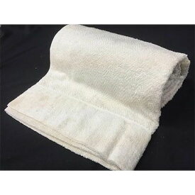 【ふるさと納税】[瀧芳株式会社] シルクとコットンのタオルケット シングル｜寝具 タオルケット 布団 ふとん 掛け布団 夏用布団 絹 シルク 綿 コットン 天然繊維 吸水性 快眠 オールシーズン 通年 吸水性 シングル 快眠 新生活 [0552]