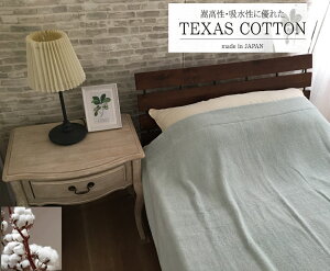 yӂ邳Ɣ[ŁzTEXSAS COTTON 100% ^IPbg VO O[ 1 SNT-20TXGRb100%  ѕz  y  K n  􂦂 \ ې􂢉\ [3230]