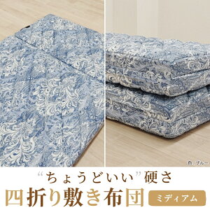 yӂ邳Ɣ[Łz֗ l܂ ~ӂƂ VO xd ~fBA K0427H01-4SA [5023-5025]