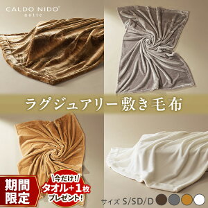 yӂ邳Ɣ[ŁzyԌEʌ_IׂZbgi^zCALDO NIDO notte3 Jhj[hmbe 3 ~ѕzb㎿Ȗ ̔G Ȃ߂炩Ȍ ɏ̒g El̋Z ѕẑ܂ 