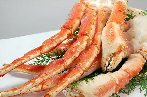 yӂ邳Ɣ[Łz|y {C^oI 5L 1kgbJj  Ⓚ [1613]