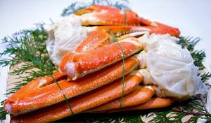 yӂ邳Ɣ[Łz{CYCI 2 800g bJj  Ⓚ [2921]