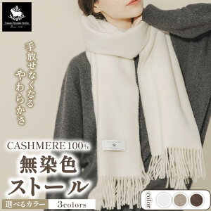 yӂ邳Ɣ[ŁzF JV~100% Xg[