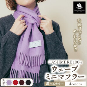 yӂ邳Ɣ[ŁzJV~100% EF[u~j}t[