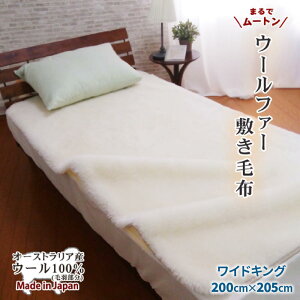 yӂ邳Ɣ[ŁzƒŐ􂦂 [g E[V[c ChLO 200cm(щH E[100%) [0214] ȂKȐ zM VR@ x ӂӂ픧G ÎsY