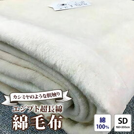 【ふるさと納税】エジプト超長綿 綿毛布 セミダブル 160×200cm C555SD ナチュラル系 [4578]