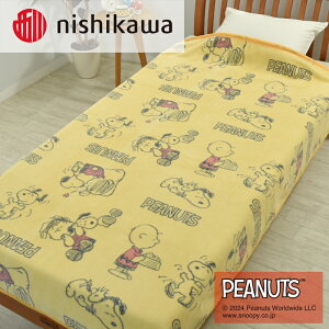 yӂ邳Ɣ[Łznishikawa/́yPEANUTSzXk[s[Ȗѕz PN3602BD CG[ FQ03801002430 ւ̔zs