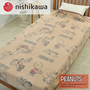 yӂ邳Ɣ[Łznishikawa/́yPEANUTSzXk[s[Ȗѕz PN3602BD uE FQ03801002330 ւ̔zs