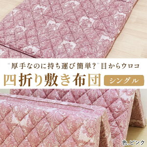 yӂ邳Ɣ[ŁzȂ̂Ɏ^ъȒPHڂER l܂ ~ӂƂ VO sN [3597]