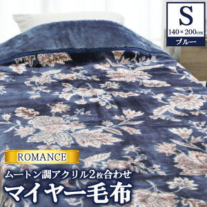 yӂ邳Ɣ[ŁzROMANCE [gAN 2킹}C[ѕz VO u[ 30017540