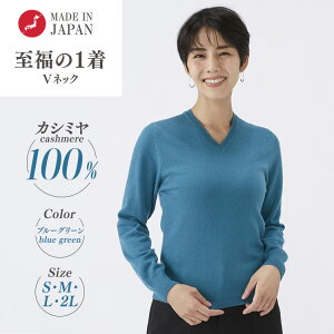 yӂ邳Ɣ[ŁzyIׂTCYz{ JV~100% fB[X VlbN u[O[