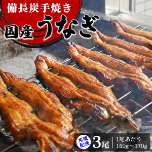 yӂ邳Ɣ[Łz[①z] YĂYȂ3 (1160g`170g)bX V EiM Ș V ① N[ Ђ܂Ԃ N̓ ȒP kCEEւ̔zs [356