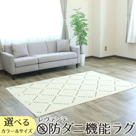 【ふるさと納税】レヴァンテ [防ダニ機能ラグ] [4888-4902]
