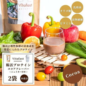 【ふるさと納税】Vitafast 乳酸菌プロテイン ココア味 2袋 シェイカー1個付き