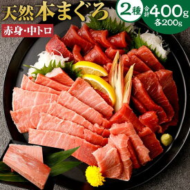 【ふるさと納税】極上！たね熟天然本まぐろ赤身＆中トロセット(400g 各200g)