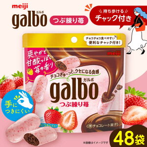 【ふるさと納税】【年内発送】明治 ガルボつぶ練り苺パウチ 58g×48袋セット お菓子 おやつ チョコレート ガルボ チョコ ガルボチョコ ガルボチョコレート パウチ 大容量 小分け ミニ ストロ