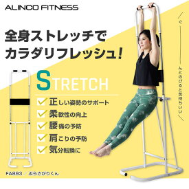 【ふるさと納税】ぶらさがりくん/FA893/アルインコ[AOAB144] ぶら下がり健康器 ぶら下がり健康器具 コンパクト スリム 軽量 肩こり 腰痛 肩 首 背中 筋肉 筋トレ ストレッチ 姿勢矯正 ダイエット 柔軟 家庭用 人気 おすすめ ギフト プレゼント 送料無料 アルインコ