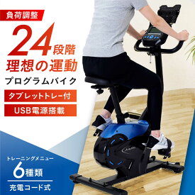 【ふるさと納税】プログラムバイク6119/AFB6119/アルインコ[AOAB049] エアロバイク フィットネスバイク マシン トレーニング ダイエット 有酸素運動 ミニ コンパクト 静音 家庭用 おすすめ 人気 定番 女性 男性 高齢者 初心者 ギフト プレゼント 送料無料 アルインコ