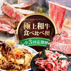 【ふるさと納税】【全3回定期便】ミートモリタ屋 極上和牛便 お肉 肉 切落し ステーキ すき焼き 和牛 牛肉 定期便 食べ比べ 大阪府高槻市/株式会社ミートモリタ屋[AOAI075]