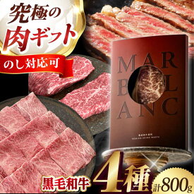 【ふるさと納税】【ふるさと納税限定】二段熟成ドライエイジング黒毛和牛食べ比べセット 冷蔵 肉 赤身 国産 和牛 食べ比べ 牛肉 ギフト 黒毛和牛 和牛 高級 国産牛 焼肉 ステーキ 人気 おすすめ 限定 熟成 エイジング 大阪府高槻市/株式会社MARBLANC[AOAS003]