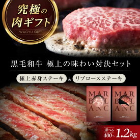 【ふるさと納税】【選べる容量】【旨味成分最大4倍】 熟成肉 ギフト 霜降り 黒毛和牛 極上の味わい対決セット：リブロースステーキ＆ 極上赤身ステーキ 熟成肉 黒毛和牛 ステーキ 食べ比べ ギフト 和牛 赤身 高級 贈り物 大阪府高槻市/株式会社MARBLANC[AOAS027]