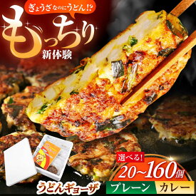 【ふるさと納税】 【選べる容量＆味】高槻うどんギョーザふるさとギフト 《プレーン＆カレー /20〜160個》 餃子 ぎょうざ ギョーザ うどん 焼きうどん ご当地 ご当地餃子 おかず 中華 中華料理 おすすめ 人気 B級グルメ 美味 大阪府高槻市/高槻うどんギョーザの会 [AOAU002]