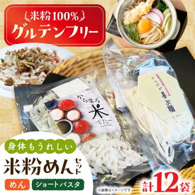 【ふるさと納税】高槻産 米粉 100％ 米粉めんセット おすすめ 人気 米粉麺 麺類 ヘルシー 小麦不使用 乾麺 うどん パスタ フォー 離乳食 お取り寄せ 保存食 お菓子作り 大阪府高槻市/株式会社高谷 米粉 麺 お米 グルテンフリー 小麦粉 料理 おかず 材料 [AOAW021]