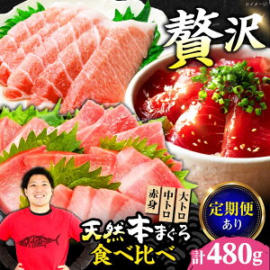 yӂ邳Ɣ[ŁzyIׂցzɏIˏnVR{܂ԐgggZbg(e160g v480g) VR }O  ܂ g Ԑg hg   Mtg 蕨  v[g lC 