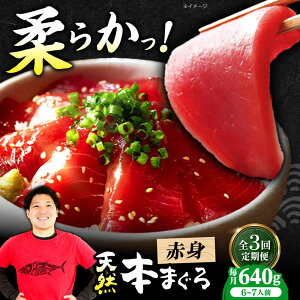 yӂ邳Ɣ[ŁzyS3ցzɏIˏnVR{܂Ԑg(640g) VR }O  Ԑg hg   {Ύs/{܂뒼[AOCE016]