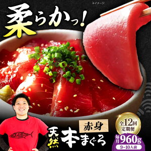 yӂ邳Ɣ[ŁzyS12ցzɏIˏnVR{܂Ԑg(960g) VR }O  Ԑg hg   {Ύs/{܂뒼[AOCE021]