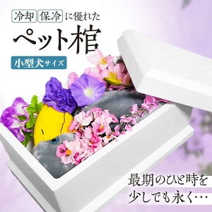 yӂ邳Ɣ[Łzni~YL ybg i ^TCY j {Ύs/VHƊ[AOCM007] ybg  ^ L  Ƒ ʂ   l  Mtg 蕨 Yi Yn 