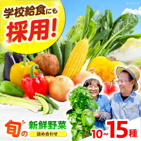 【ふるさと納税】【数量限定】☆選べるお届け月☆厳選！旬を味わう高槻野菜おまかせ詰め合わせセット（10種〜15種）　大阪府高槻市/高槻あぐり[AOCS006]