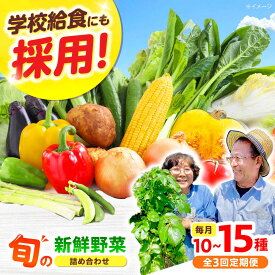 【ふるさと納税】【全3回】【数量限定】厳選！旬を味わう高槻野菜おまかせ詰め合わせ定期便（10種〜15種） 野菜 やさい 新鮮 産地直送 旬 人気 お取り寄せ 野菜詰め合わせ 野菜セット 選べる 農作物 農家 ご当地 自家製 お取り寄せ 大阪府高槻市/高槻あぐり[AOCS019] 旬野菜