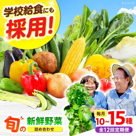 【ふるさと納税】【全12回】【数量限定】厳選！旬を味わう高槻野菜おまかせ詰め合わせ定期便（10種〜15種）　大阪府高槻市/高槻あぐり[AOCS021]