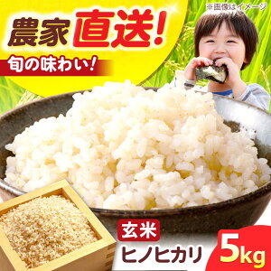 yӂ邳Ɣ[ŁzR7NxY V qmqJ  5L 5kg   R ͂  ܂ {Ύs/΂[AOCS031]