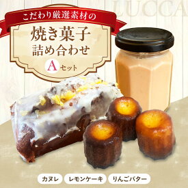 【ふるさと納税】LUCCA 焼き菓子セットA ギフト スイーツ おやつ 菓子 おかし 手作り 詰め合わせ ケーキ お菓子 大阪府高槻市/LUCCA[AOEB001]