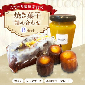 【ふるさと納税】LUCCA 焼き菓子セットB ギフト ギフト スイーツ おやつ 菓子 おかし 手作り 詰め合わせ ケーキ お菓子 セット ギフト 贈り物 贈答 プレゼント 人気 おすすめ 大阪 大阪府 高槻 高槻市 大阪府高槻市/LUCCA[AOEB002]