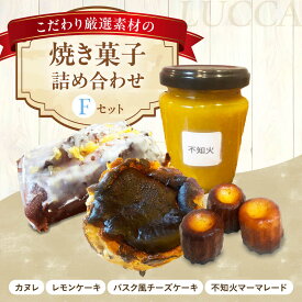 【ふるさと納税】LUCCA 焼き菓子セットF ギフト スイーツ おやつ 菓子 おかし 手作り 詰め合わせ ケーキ お菓子 大阪府高槻市/LUCCA[AOEB006]