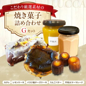 【ふるさと納税】LUCCA 焼き菓子セットG ギフト スイーツ おやつ 菓子 おかし 手作り 詰め合わせ ケーキ お菓子 大阪府高槻市/LUCCA[AOEB007]