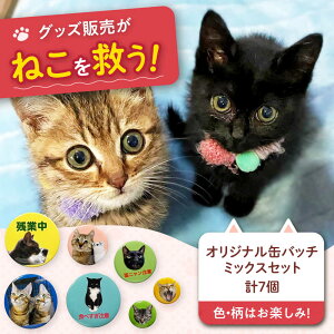 【ふるさと納税】ねこ雑貨 オリジナル缶バッチミックスセット ねこ ネコ 猫 雑貨 日用品 ペット 缶バッチ オリジナル セット 保護猫 猫グッズ 保護猫支援 ギフト 贈り物 贈答 プレゼント 人