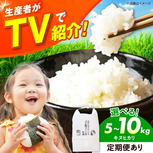 【ふるさと納税】【選べる容量&定期便】令和7年産 新米 キヌヒカリ 5キロ 10キロ きぬひかり 米 お米 ブランド米 ライス コメ 人気 おこめ ごはん ご飯 ゴハン ふっくら もちもち 国産米 国