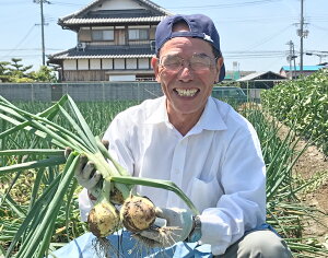 玉ねぎ生産者