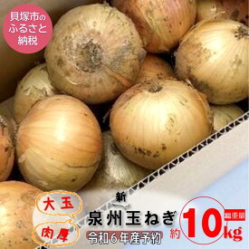 【ふるさと納税】【先行予約】肉厚！大阪泉州新玉ねぎ10kg