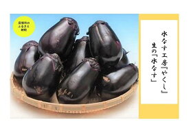 【ふるさと納税】＜2026年3月上旬頃から順次発送＞ 水なす工房『やくし』生の「水なす」